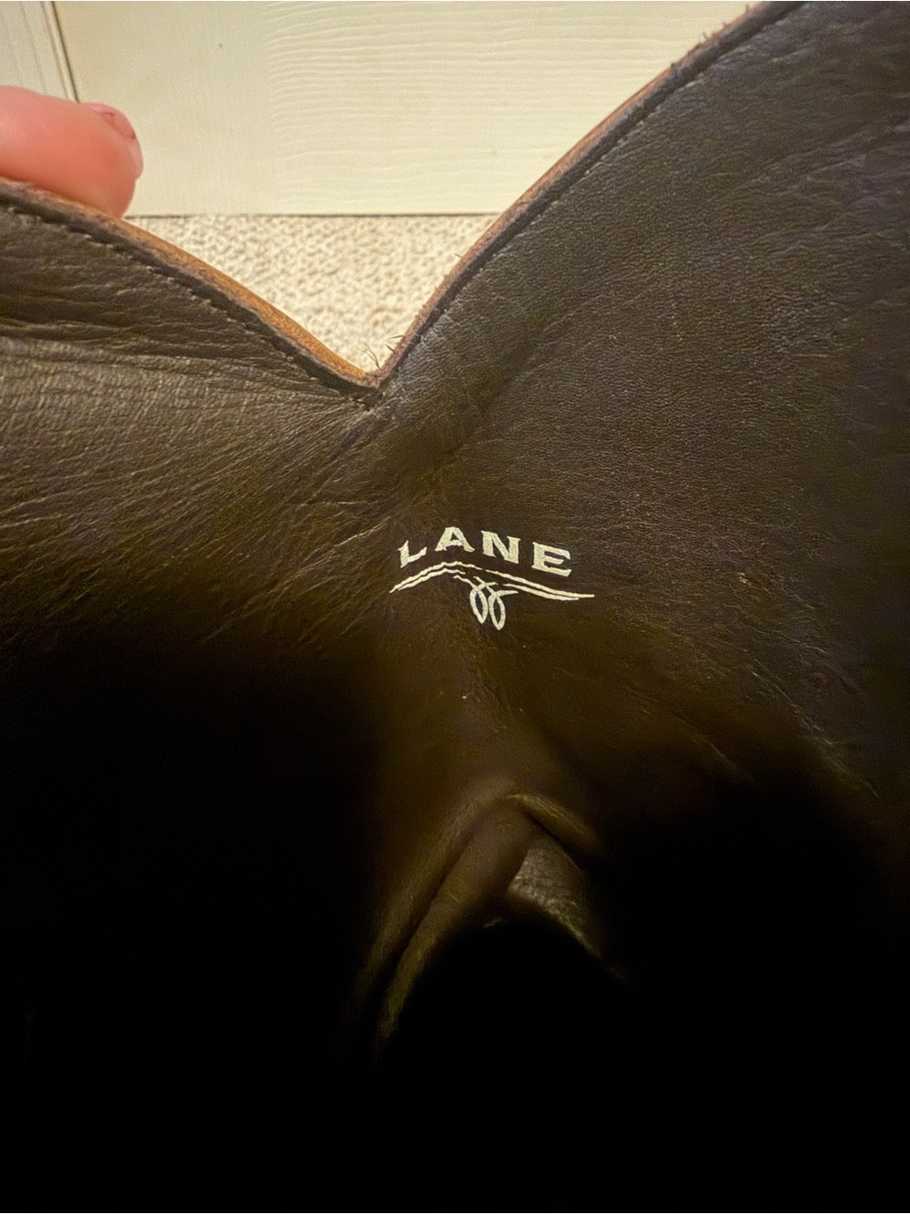 Lane - Picture 6 of 7